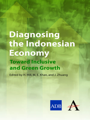 cover image of Diagnosing the Indonesian Economy